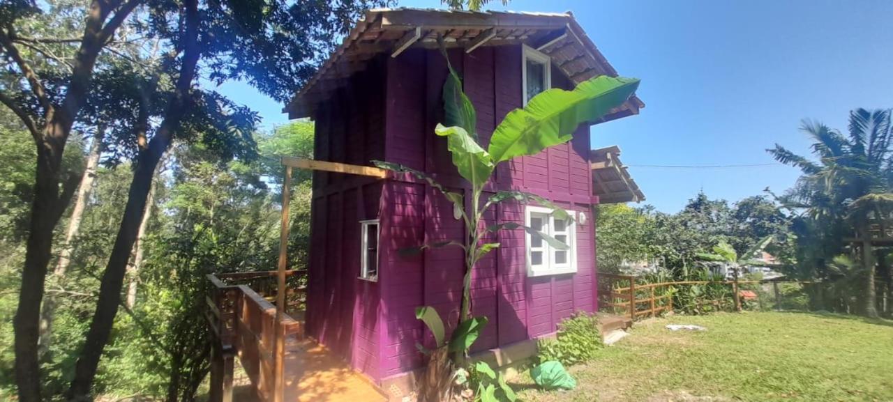 Violeta Aquarela Bombinhas Exterior photo