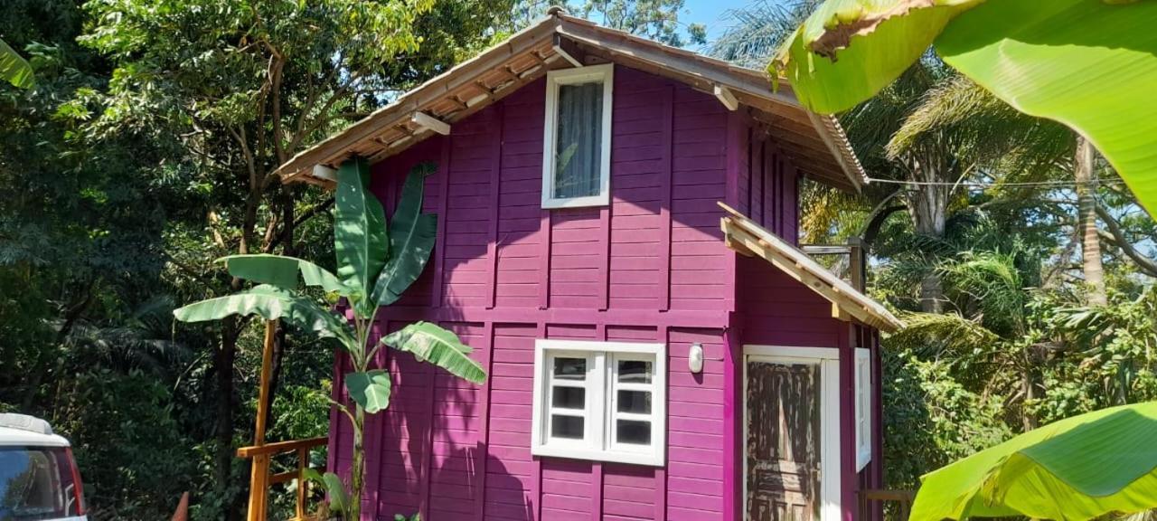 Violeta Aquarela Bombinhas Exterior photo