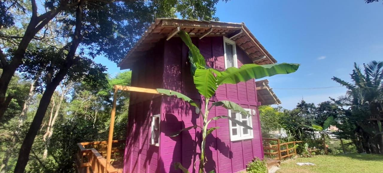 Violeta Aquarela Bombinhas Exterior photo